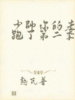 少帅你的老婆又跑了第二季