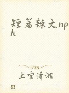 短篇辣文np高h
