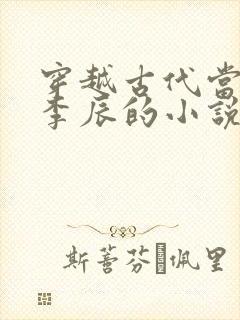 穿越古代当太子李辰的小说