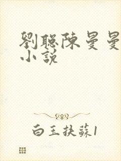 刘聪陈曼曼赵兰小说