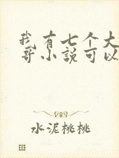 我有七个大佬哥哥小说可以买全集吗