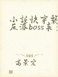小说快穿系统之反派boss来袭