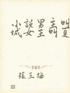 小说男主叫顾北城女主叫夏末