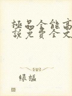 极品全能高手小说免费全文阅读