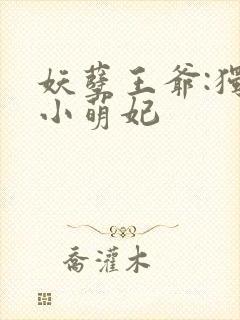 妖孽王爷:独宠小萌妃封面
