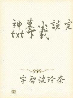 神墓小说完结版txt下载