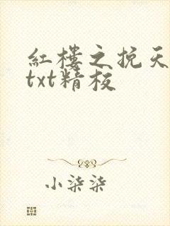 红楼之挽天倾无txt精校