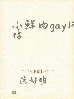 小鲜肉gay网站