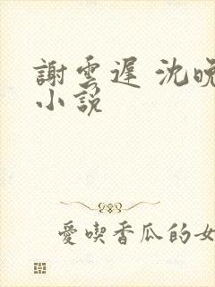 谢云迟 沈晚梨小说