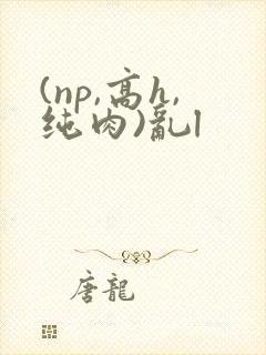 (np,高h,纯肉)乱l封面