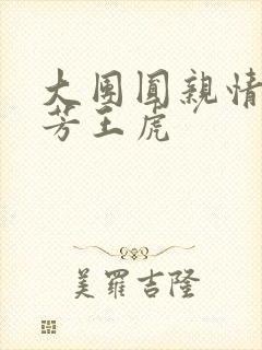 大团圆亲情会王芳王虎封面