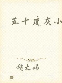 五十度灰小说