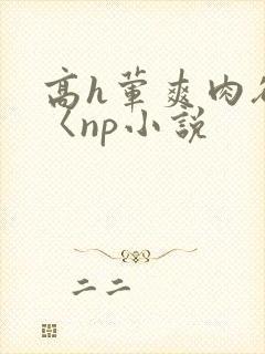 高h荤爽肉欲文〈np小说