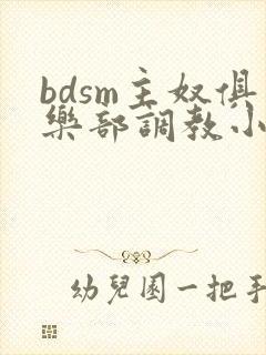 bdsm主奴俱乐部调教小说封面