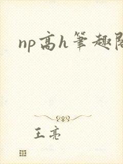 np高h笔趣阁