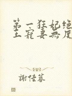 第一狂妃绝色邪王宠妻无度txt