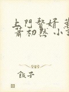 上门赘婿 叶辰 萧初然 小说