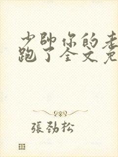 少帅你的老婆又跑了全文免费阅读