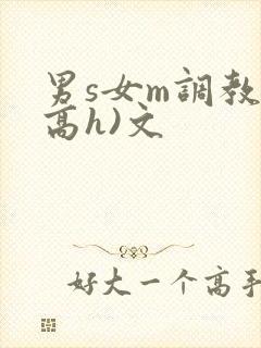 男s女m调教(高h)文