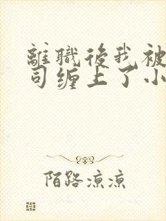 离职后我被前上司缠上了小说在线阅读封面