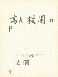 高h 校园 np封面