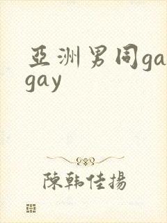 亚洲男同gaygay