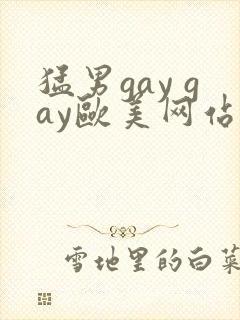 猛男gay gay欧美网站