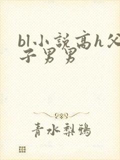 bl小说高h父子男男