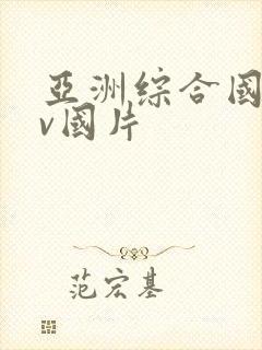 亚洲综合国产av国片