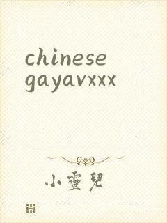 chinesegayavxxx