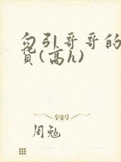 勾引哥哥的小骚货(高h)封面