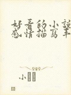 好看的小说后宫感情描写丰富的