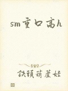 sm重口高h