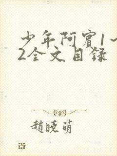 少年阿宾1～72全文目录