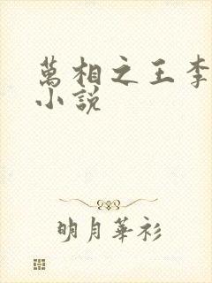 万相之王李洛的小说
