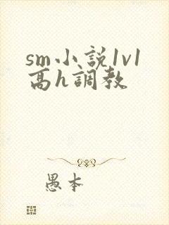 sm小说1v1高h调教封面