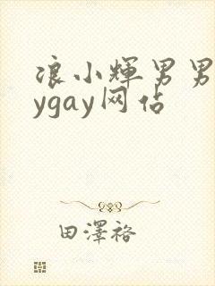 浪小辉男男gaygay网站