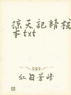 掠天记精校版全本txt封面