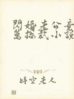 闪婚老公竟是亿万总裁小说封面