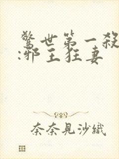 惊世第一杀手妃:邪王狂妻