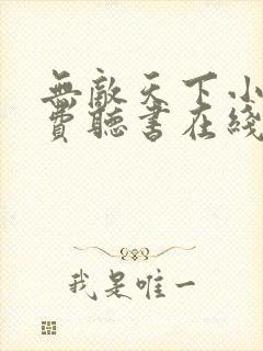 无敌天下小说免费听书在线封面