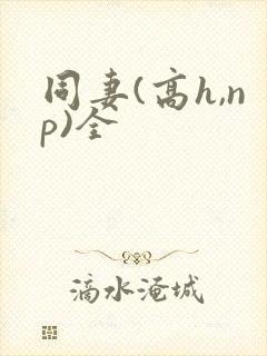 同妻(高h,np)全