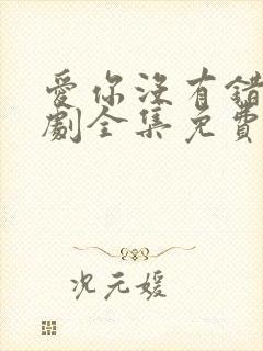 爱你没有错电视剧全集免费观看封面