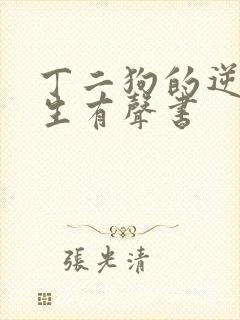 丁二狗的逆袭人生有声书