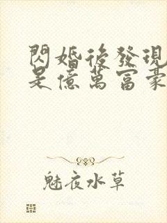 闪婚后发现老公是亿万富豪听书免费