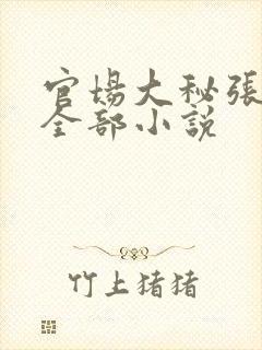 官场大秘张向阳全部小说