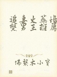 追妻火葬场小说双男主推荐文