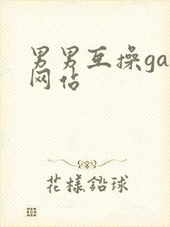 男男互操gay网站