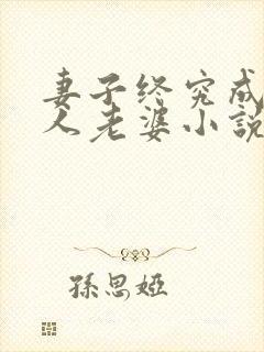 妻子终究成了别人老婆小说