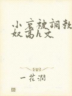 小哀被调教成肉奴高h文